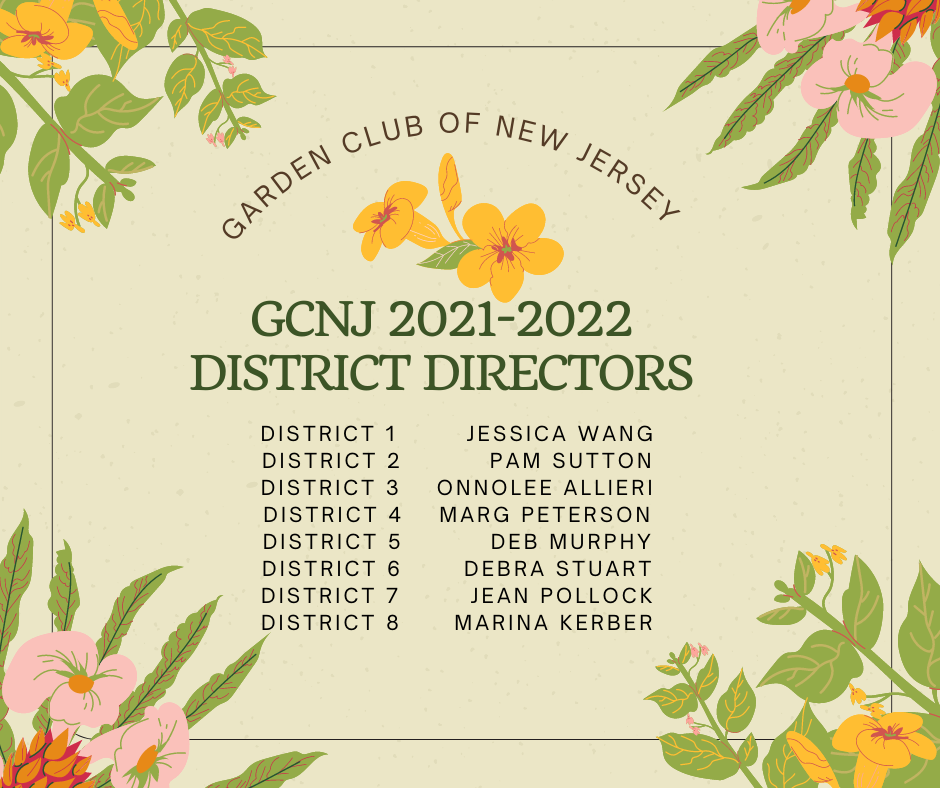 District Directors